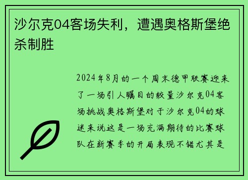 沙尔克04客场失利，遭遇奥格斯堡绝杀制胜